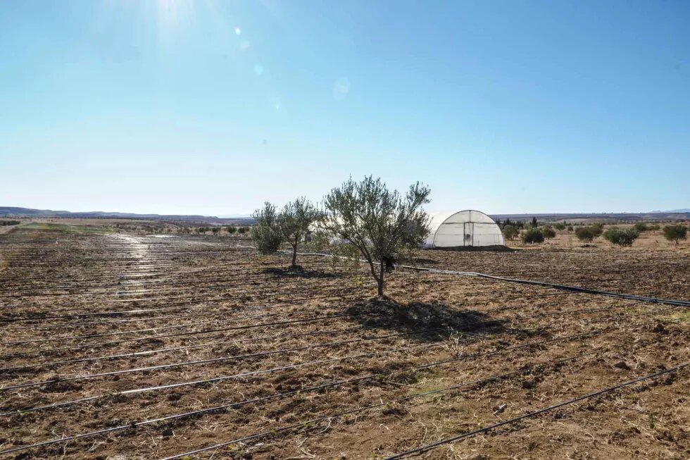 Une serre sur la ferme Kid’Chen. La culture sous serre permet entre autres la prévention contre les maladies et ravageurs et la création de conditions climatiques optimales. 